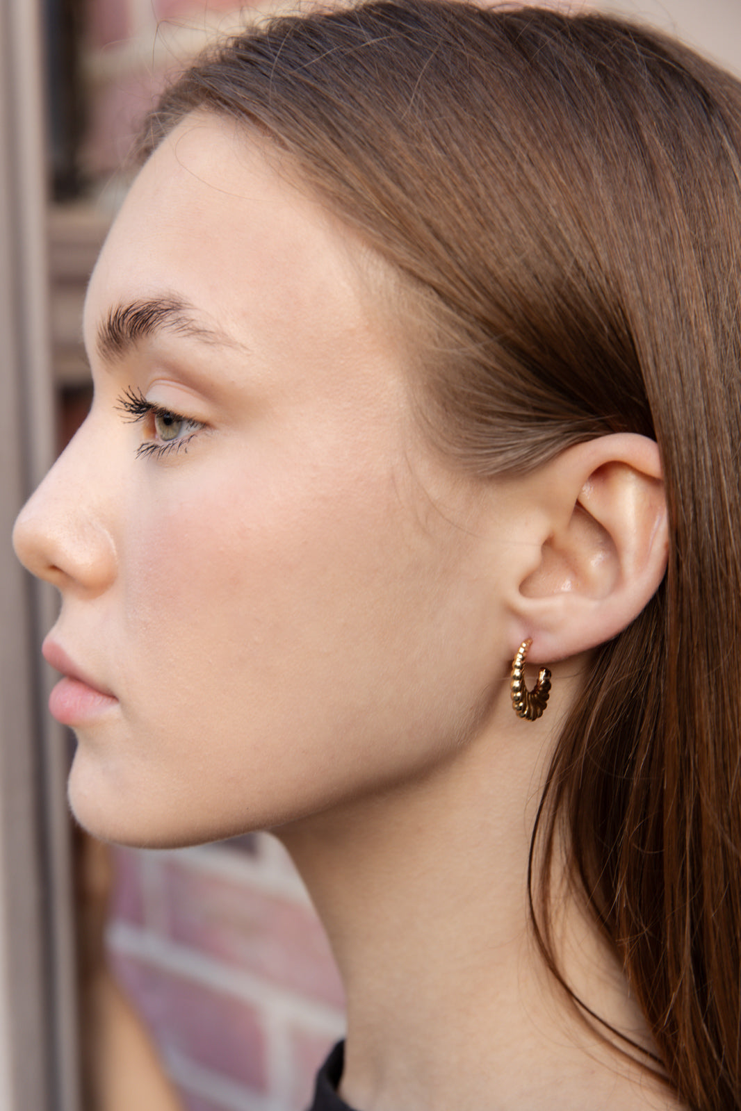 Classic Earrings